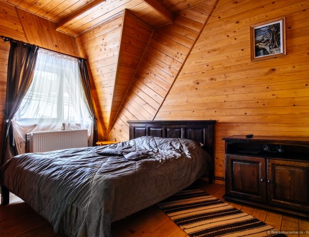 vladilas-2021-01-19-floarea-bucovinei-foto-0024