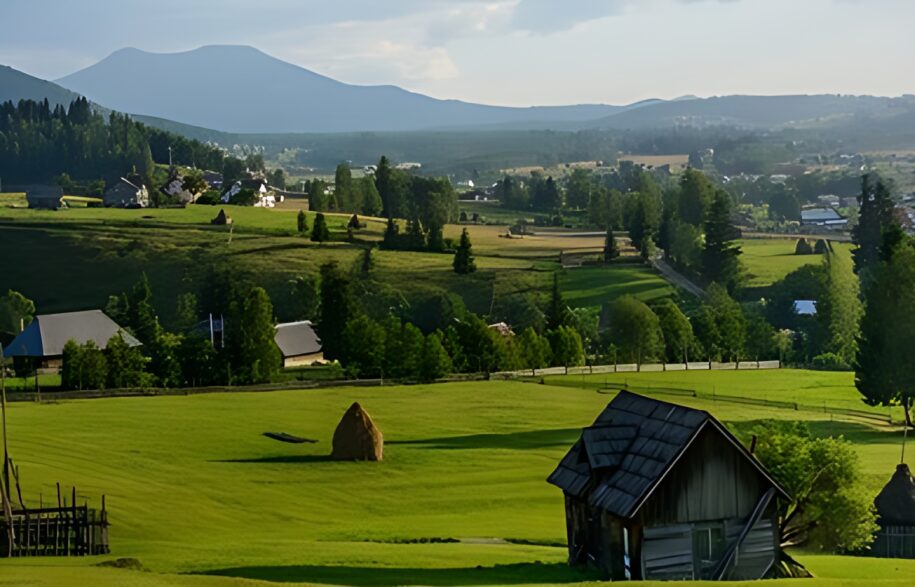 bucovina
