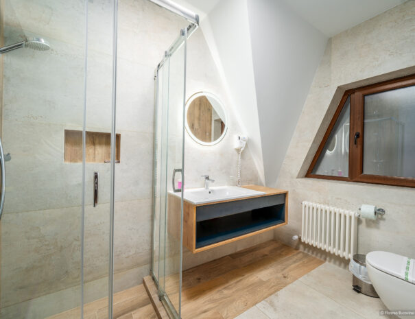 Pensiunea Floarea Bucovinei - baie